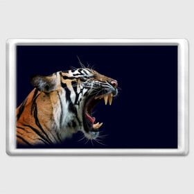 Магнит 45*70 с принтом Оскал тигра | Большая кошка в Белгороде, Пластик | Размер: 78*52 мм; Размер печати: 70*45 | 2022 | big teeth | fangs | grin | tiger | tigr | tigris | большая кошка | большие зубы | клыки | новый год | оскалиться | острые клыки | полосатая кошка | скалить | скалить зубы | тигр