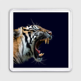 Магнит 55*55 с принтом Оскал тигра | Большая кошка в Белгороде, Пластик | Размер: 65*65 мм; Размер печати: 55*55 мм | 2022 | big teeth | fangs | grin | tiger | tigr | tigris | большая кошка | большие зубы | клыки | новый год | оскалиться | острые клыки | полосатая кошка | скалить | скалить зубы | тигр