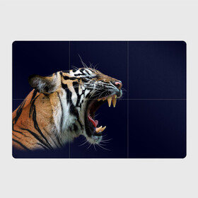 Магнитный плакат 3Х2 с принтом Оскал тигра | Большая кошка в Белгороде, Полимерный материал с магнитным слоем | 6 деталей размером 9*9 см | 2022 | big teeth | fangs | grin | tiger | tigr | tigris | большая кошка | большие зубы | клыки | новый год | оскалиться | острые клыки | полосатая кошка | скалить | скалить зубы | тигр