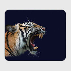 Прямоугольный коврик для мышки с принтом Оскал тигра | Большая кошка в Белгороде, натуральный каучук | размер 230 х 185 мм; запечатка лицевой стороны | Тематика изображения на принте: 2022 | big teeth | fangs | grin | tiger | tigr | tigris | большая кошка | большие зубы | клыки | новый год | оскалиться | острые клыки | полосатая кошка | скалить | скалить зубы | тигр