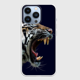Чехол для iPhone 13 Pro с принтом Оскал тигра | Большая кошка в Белгороде,  |  | Тематика изображения на принте: 2022 | big teeth | fangs | grin | tiger | tigr | tigris | большая кошка | большие зубы | клыки | новый год | оскалиться | острые клыки | полосатая кошка | скалить | скалить зубы | тигр