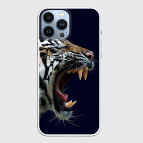 Чехол для iPhone 13 Pro Max с принтом Оскал тигра | Большая кошка в Белгороде,  |  | Тематика изображения на принте: 2022 | big teeth | fangs | grin | tiger | tigr | tigris | большая кошка | большие зубы | клыки | новый год | оскалиться | острые клыки | полосатая кошка | скалить | скалить зубы | тигр