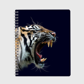 Тетрадь с принтом Оскал тигра | Большая кошка в Белгороде, 100% бумага | 48 листов, плотность листов — 60 г/м2, плотность картонной обложки — 250 г/м2. Листы скреплены сбоку удобной пружинной спиралью. Уголки страниц и обложки скругленные. Цвет линий — светло-серый
 | 2022 | big teeth | fangs | grin | tiger | tigr | tigris | большая кошка | большие зубы | клыки | новый год | оскалиться | острые клыки | полосатая кошка | скалить | скалить зубы | тигр