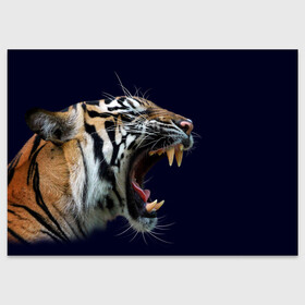 Поздравительная открытка с принтом Оскал тигра | Большая кошка в Белгороде, 100% бумага | плотность бумаги 280 г/м2, матовая, на обратной стороне линовка и место для марки
 | Тематика изображения на принте: 2022 | big teeth | fangs | grin | tiger | tigr | tigris | большая кошка | большие зубы | клыки | новый год | оскалиться | острые клыки | полосатая кошка | скалить | скалить зубы | тигр