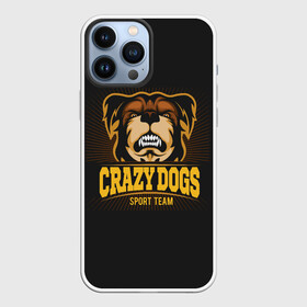 Чехол для iPhone 13 Pro Max с принтом CRAZY DOGS в Белгороде,  |  | animal | dog | барбос | бобик | гнев | год собаки | друг человека | животное | зверь | злая собака | злость | зубы | ищейка | кинолог | кость | лайка | ненависть | оскал | пёс | собака | собаковод