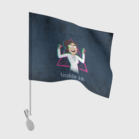 Флаг для автомобиля с принтом Ридли Cognito Inc в Белгороде, 100% полиэстер | Размер: 30*21 см | глюк | девушка | знак | персонаж | треугольник