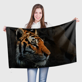 Флаг 3D с принтом АМУРСКИЙ ТИГР TIGER в Белгороде, 100% полиэстер | плотность ткани — 95 г/м2, размер — 67 х 109 см. Принт наносится с одной стороны | 2022 | amur tiger | beast | fangs | happy new year | merry christmas | new year | predator | snow | stars | stern grin | stern look | winter | year of the tiger | амурский тигр | год тигра | зверь | зима | клыки | новый год | снег | суровый взгл