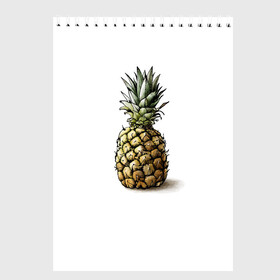 Скетчбук с принтом Pineapple watercolor в Белгороде, 100% бумага
 | 48 листов, плотность листов — 100 г/м2, плотность картонной обложки — 250 г/м2. Листы скреплены сверху удобной пружинной спиралью | pineapple | ананас | графика | еда | рисунок | фрукт