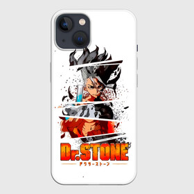 Чехол для iPhone 13 с принтом Химия Сэнку Доктор Стоун в Белгороде,  |  | anime | dr stone | dr stone stone wars | e  mc2 | manga | senku | senkuu ishigami | аниме | вождь деревни исигами | десять миллиардов процентов | доктор камень | доктор стоун | докута сутон | исигами сенку | исигами сэнку | манга