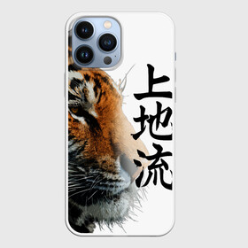 Чехол для iPhone 13 Pro Max с принтом ТИГР | НАДПИСЬ НА КИТАЙСКОМ в Белгороде,  |  | 2022 | chinese character | framed | new year | ornament | powerful | strong | tiger | year of the tiger | yellow look | амурски | год тигра | дикий | жёлтый взгляд | китайский иероглиф | мощный | надпись на китайском | новый год | орнамент 