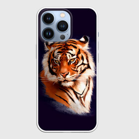 Чехол для iPhone 13 Pro с принтом Грозный Тигр | Символ 2022 Года | Tiger Beast в Белгороде,  |  | 2022 | beast | black | cat | christmas | merry | new year | tiger | xmas | водяной | год тигра | животные | зверь | когти | кот | кошки | новый год | огонь | паттерн | полосатый | рождество | тигр | узор | чб | черный