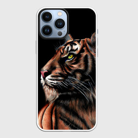 Чехол для iPhone 13 Pro Max с принтом Тигр в Темноте | Взгляд Вверх в Белгороде,  |  | 2022 | beast | black | cat | christmas | merry | new year | tiger | xmas | водяной | год тигра | животные | зверь | когти | кот | кошки | новый год | огонь | паттерн | полосатый | рождество | тигр | узор | чб | черный