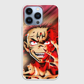 Чехол для iPhone 13 Pro с принтом RAGE SUKUNA, СУКУНА В ЯРОСТИ в Белгороде,  |  | anime | japan | japanese | jujutsu | jujutsu kaisen | kaisen | sukuna | tattoo | аниме | двуликий призрак | иероглифы | инумаки | итадори | итадори юдзи | магическая битва | нобара | панда | рёмен | рёмен сукуна | сатору | сукуна