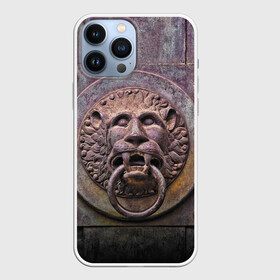 Чехол для iPhone 13 Pro Max с принтом Lion gate в Белгороде,  |  | ears | eyes | fangs | gate | jaw | lion | mane | metal | muzzle | ворота | грива | клыки | лев | металл | пасть | уши