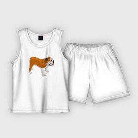 Детская пижама с шортами хлопок с принтом Английский бульдог рисунок собаки в Белгороде,  |  | dog | english bulldog | pet | английский бульдог | бульдог | домашние животные | питомец | порода | рыжий | собака | стоящая собака