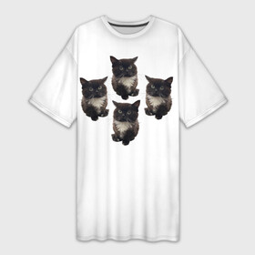 Платье-футболка 3D с принтом Чмоня в Белгороде,  |  | животные | кот | котики | коты | мем | мем 2022 | мемы | тренд