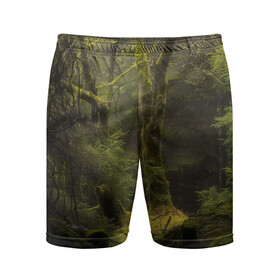 Мужские шорты спортивные с принтом Лесная глушь в Белгороде,  |  | деревья | камуфляж | лес | природа | тайга