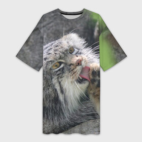 Платье-футболка 3D с принтом Манул  Лапка в Белгороде,  |  | cat | cats | всеядный | детеныш | дикие | звери | зверята | кот | котик | лапка | манул | медведь | милый | природа | хищник