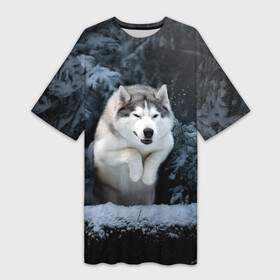 Платье-футболка 3D с принтом Хаски в зимнем лесу, Husky в Белгороде,  |  | dog | животные | пес | природа | собака | собаки | собакчка | собачки | хаска | хаски