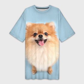 Платье-футболка 3D с принтом Щенок Померанского Шпица в Белгороде,  |  | голубая | померанский | рыжий | с принтом собаки | с собаками | с собакой | со шпицем | со щенком | собака | шпиц | щенок