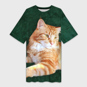 Платье-футболка 3D с принтом Мейн кун рыжий кот в Белгороде,  |  | cat | зеленая | зеленый | кот | котенок | котик | красивый | кун | мейн | порода | рыжий | фотография