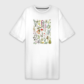 Платье-футболка хлопок с принтом Винтажная иллюстрация разных растений Ботаника в Белгороде,  |  | ботаника | ботаническая иллюстрация | ботанический | винтаж | винтажный | природа | растения | растительный мир | ретро | цветы
