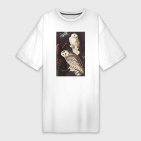 Платье-футболка хлопок с принтом Snowy Owl (Сова) в Белгороде,  |  | абстракция | винтаж | геометрия | животные | картина | классика | красный | кубизм | портрет | природа | птицы | сова | фауна | экспрессионизм