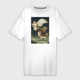 Платье-футболка хлопок с принтом Barn Owl (Сова) в Белгороде,  |  | абстракция | винтаж | геометрия | животные | картина | классика | красный | кубизм | портрет | природа | птицы | сова | фауна | экспрессионизм