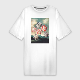 Платье-футболка хлопок с принтом A Group of Carnations (Гвоздики) в Белгороде,  |  | абстракция | ботаника | винтаж | картина | классика | книга | минимализм | обложка | паттерн | природа | флора | цветы | экспрессионизм