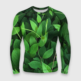 Мужской рашгард 3D с принтом Вьюнок в Белгороде,  |  | ветки | вьюнок | для охоты | для прогулок | для путешествий | для рыбалки | зеленый | зелень | камуфляж | лето | лимонник | листва | листья | лоза | природа | природный | растения | текстура | экология