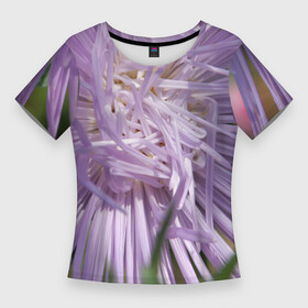 Женская футболка 3D Slim с принтом Астра в стиле хаос в Белгороде,  |  | астра | беспорядок | дача | игла | лепесток | лето | природа | растение | тонкий | участок | фазенда | фиолетовый | хоас | цветение | цветовод | цветоводство | цветок | цветы