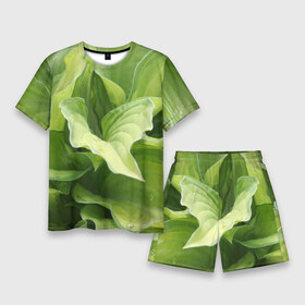 Мужской костюм с шортами 3D с принтом Зеленые листья после дождя в Белгороде,  |  | абстракция | вода | дача | дождь | зеленая | зеленый | изгиб | камуфляж | капля | лето | лист | листок | листья | маскировка | природа | растение | участок | фазенда | цветовод | цветоводство