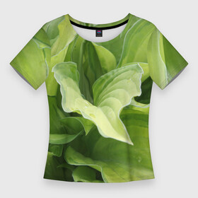 Женская футболка 3D Slim с принтом Зеленые листья после дождя в Белгороде,  |  | абстракция | вода | дача | дождь | зеленая | зеленый | изгиб | камуфляж | капля | лето | лист | листок | листья | маскировка | природа | растение | участок | фазенда | цветовод | цветоводство