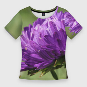 Женская футболка 3D Slim с принтом Фиолетовая астра в Белгороде,  |  | астра | дача | красота | лепесток | лето | огород | природа | растение | участок | фазенда | фиолет | фиолетовый | цветение | цветовод | цветоводство | цветок | цветы