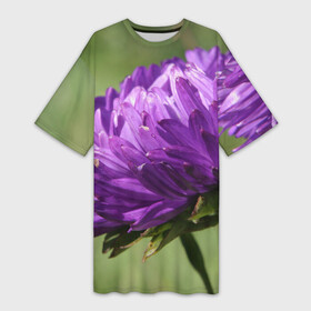 Платье-футболка 3D с принтом Фиолетовая астра в Белгороде,  |  | астра | дача | красота | лепесток | лето | огород | природа | растение | участок | фазенда | фиолет | фиолетовый | цветение | цветовод | цветоводство | цветок | цветы