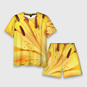 Мужской костюм с шортами 3D с принтом Оранжево желтая лилия в Белгороде,  |  | дача | желтый | красота | лепесток | лето | лилия | огород | опыление | оранжевый | пестик | природа | растение | сад | тычинка | участок | фазенда | цветение | цветовод | цветоводство | цветок | цветы