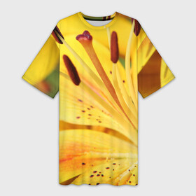 Платье-футболка 3D с принтом Оранжево желтая лилия в Белгороде,  |  | дача | желтый | красота | лепесток | лето | лилия | огород | опыление | оранжевый | пестик | природа | растение | сад | тычинка | участок | фазенда | цветение | цветовод | цветоводство | цветок | цветы