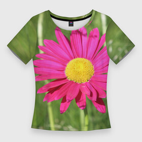 Женская футболка 3D Slim с принтом Гадай на розовой ромашке в Белгороде,  |  | декоративная | декоративный | лепесток | лето | природа | растение | розовая | розовый | ромашка | сад | садовая | цветение | цветовод | цветоводство | цветок | цветы