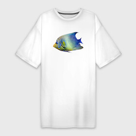 Платье-футболка хлопок с принтом Тропическая разноцветная рыба в Белгороде,  |  | color | fin | fish | summer | tail | tropics | лето | плавник | рыба | тропики | хвост | цвет