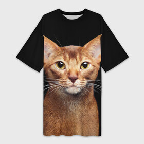 Платье-футболка 3D с принтом Молодая абиссинская кошечка в Белгороде,  |  | абиссин | абиссинская | кот | котёнок | коты | котята | кошка | кошки