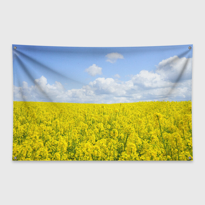 Флаг-баннер Рапсовое поле фото